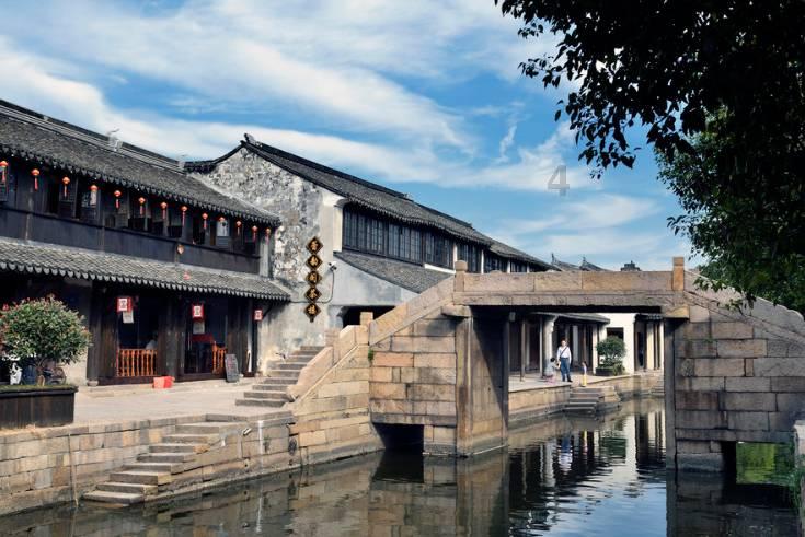 除虫大师